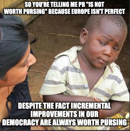 Global South Skeptical Kid "So you're telling me pr "is not worth pursing" because europe isn't perfect" "Despite the fact incremental improvements in our democracy are always worth pursing"