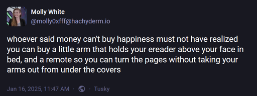 @molly0xfff@hachyderm.io: "whoever said money can't buy happiness must not have realized you can buy a little arm that holds your ereader above your face in bed, and a remote so you can turn the pages without taking your arms out from under the covers".