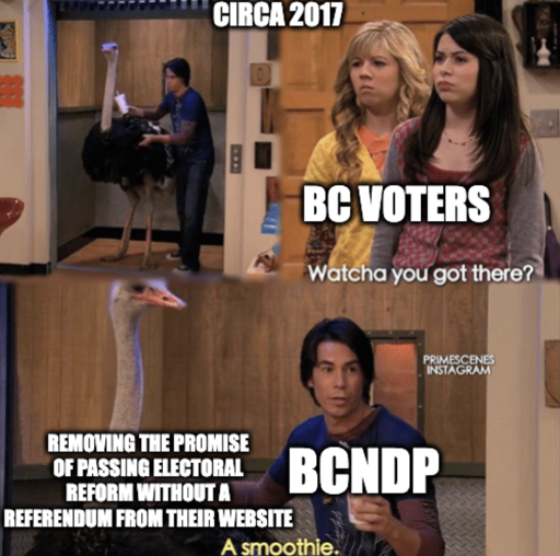 Circa 2017 "BC Voters" Watcha you got there "Removing the promise of passing electoral reform without a referendum from their website" Ostrich "BCNDP" responds a "smoothie."