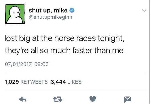 better luck on the dogs